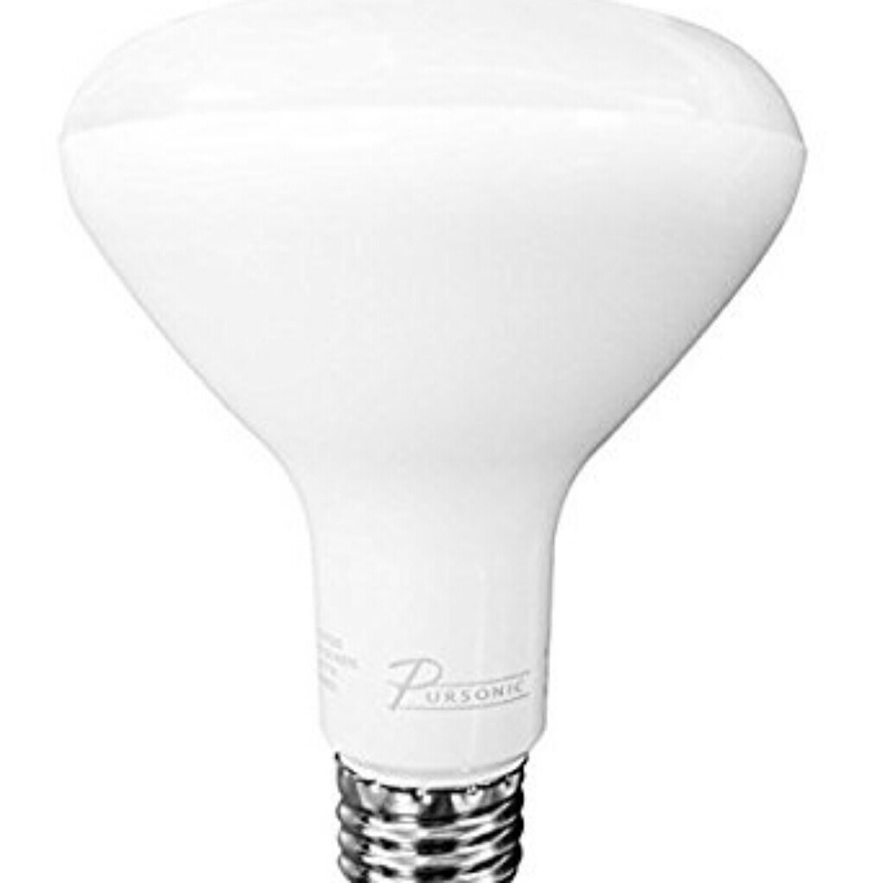 Pursonic BR30 white bulb